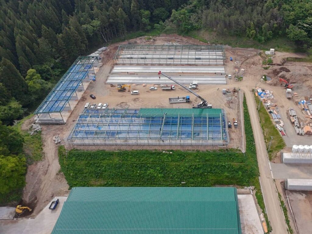 令和5年6月 スプリングファーム様牛舎新築工事(1)【宮城県】