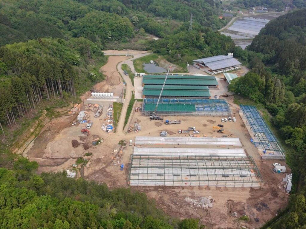 令和5年6月 スプリングファーム様牛舎新築工事(2)【宮城県】