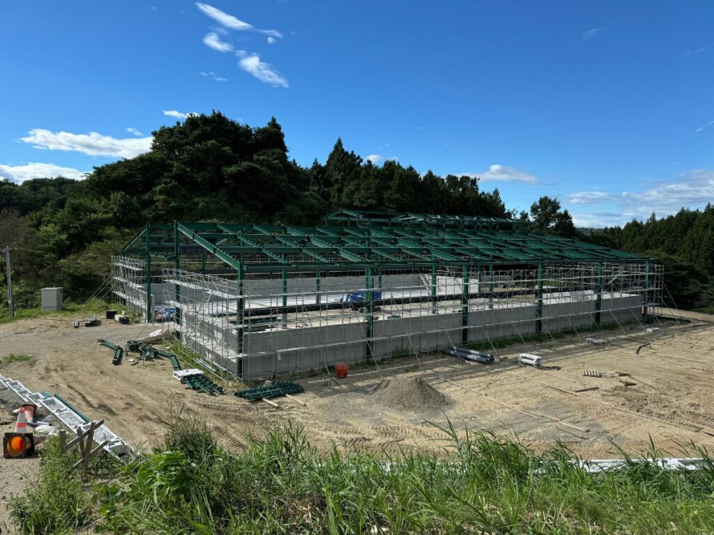 令和5年6月 スプリングファーム様牛舎新築工事(3)【宮城県】